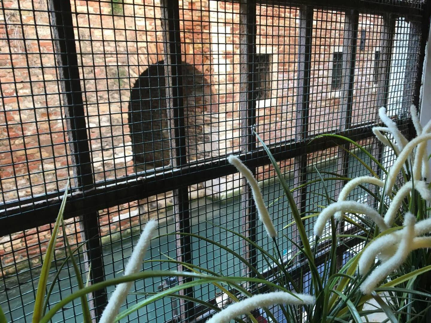 Mascherone Apartment ヴェネツィア エクステリア 写真