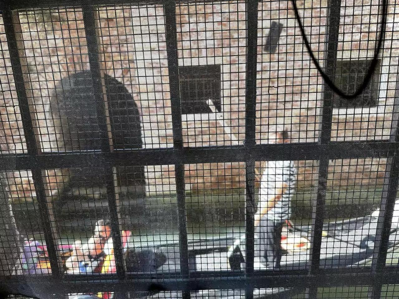 Mascherone Apartment ヴェネツィア エクステリア 写真